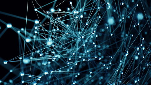 從量子力學到虛擬宇宙假說 量子計算如何重塑我們的現實認知